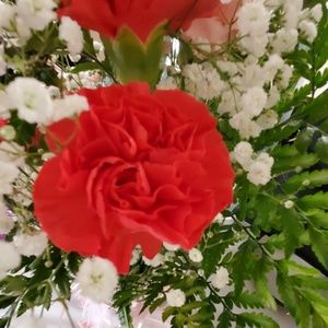 Meet your Posher, Margarita